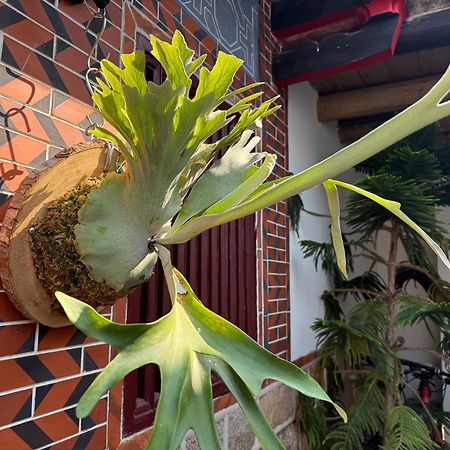 Grace Homestay Jincheng Eksteriør bilde