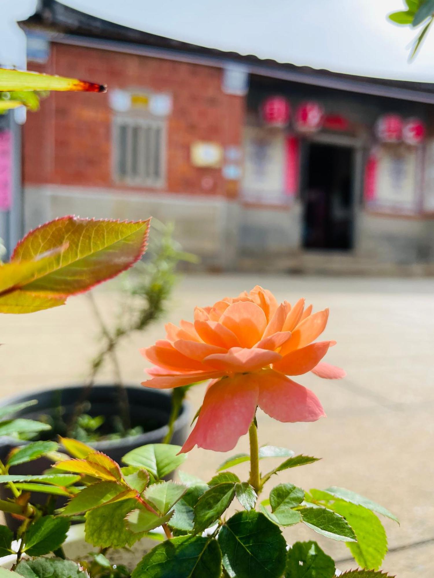 Grace Homestay Jincheng Eksteriør bilde
